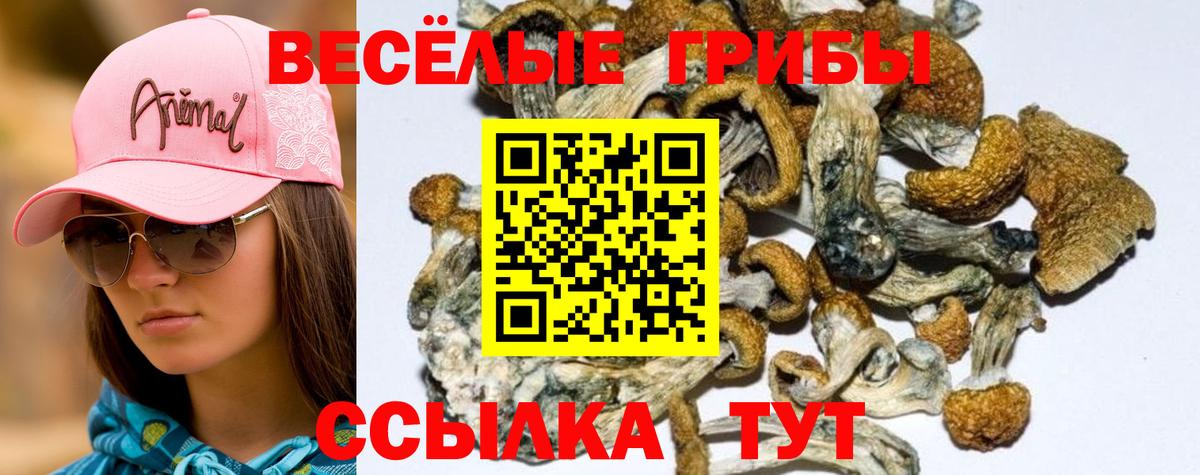 Галлюциногенные грибы ЛСД  Вход с VPN  Арзамас 